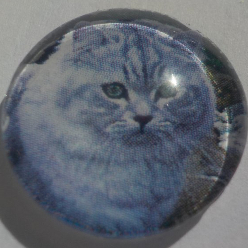 Cabochon chat/18 mm/confection bijoux/verre/gris/chat/animaux