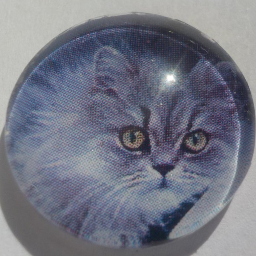 Cabochon chat/18 mm/confection bijoux/verre/gris/animaux