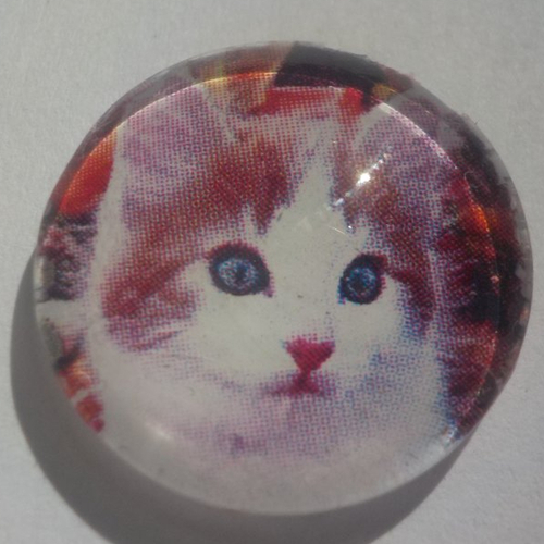 Cabochon chat/18 mm/confection bijoux/verre/gris/animaux