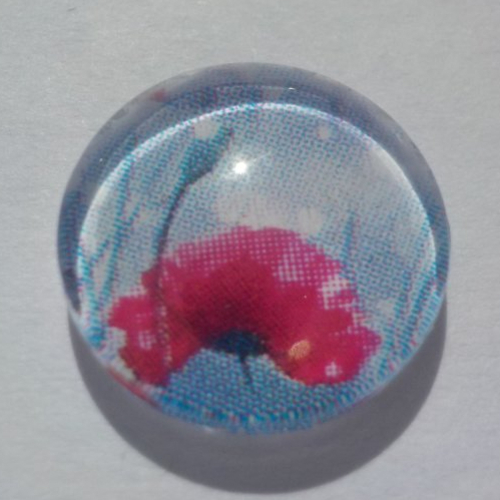 Cabochon de verre, fleurs, coquelicot,12 mm, blanc, rouge, gris, artisanal,