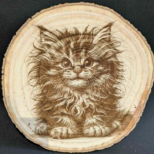 Gravure d'un chaton