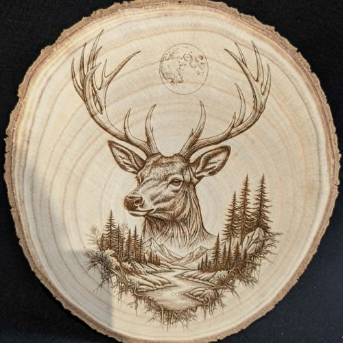 Gravure d'une tête de cerf