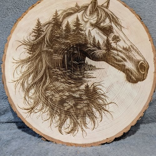 Gravure tête de cheval