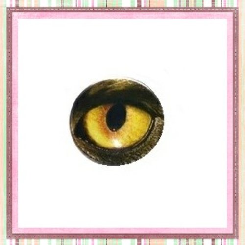 Cabochon rond oeil  20mm