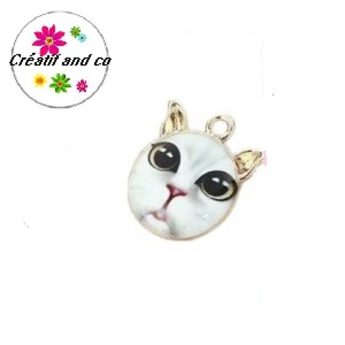 Tête de chat émail 21mm
