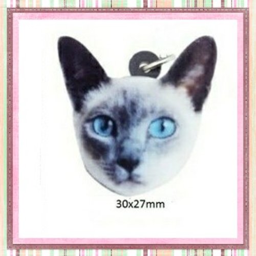 Tête de chat  acrylique 30mm