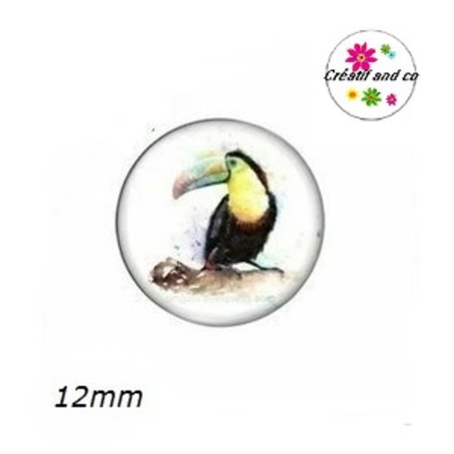 X2 cabochons toucan 12mm