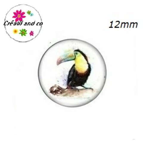 X2 cabochons toucan 12mm