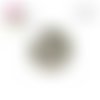 X2 cabochons oie humoristique 12mm