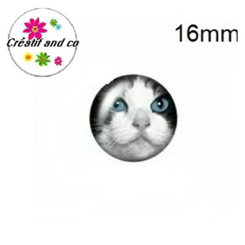 X2 cabochons chat 16mm