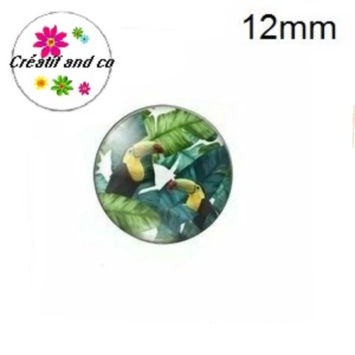 X2 cabochons toucan 12mm