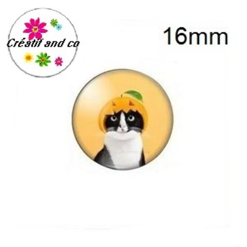 X2 cabochons chat humoristique 16mm