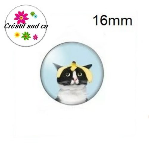 X2 cabochons chat humoristique 16mm