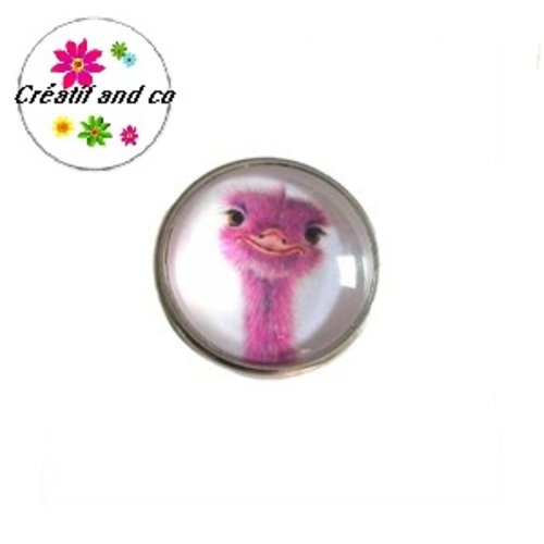 Bouton pression autruche