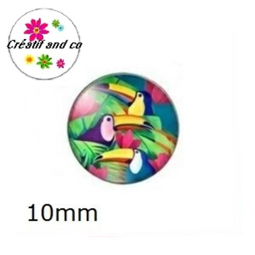 X2 cabochons toucan 10mm