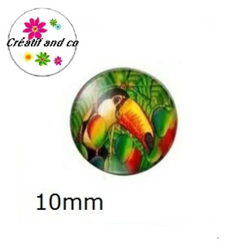 X2 cabochons toucan 10mm