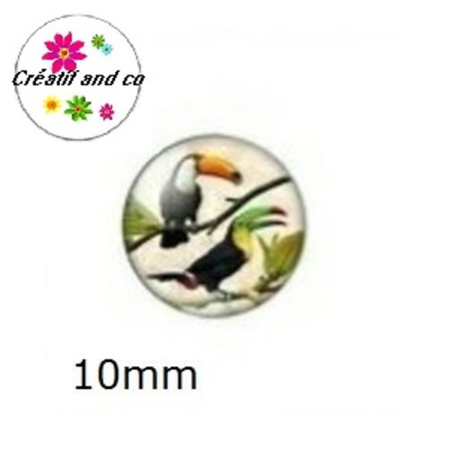 X2 cabochons toucan 10mm