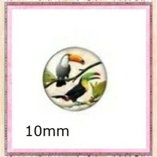X2 cabochons toucan 10mm
