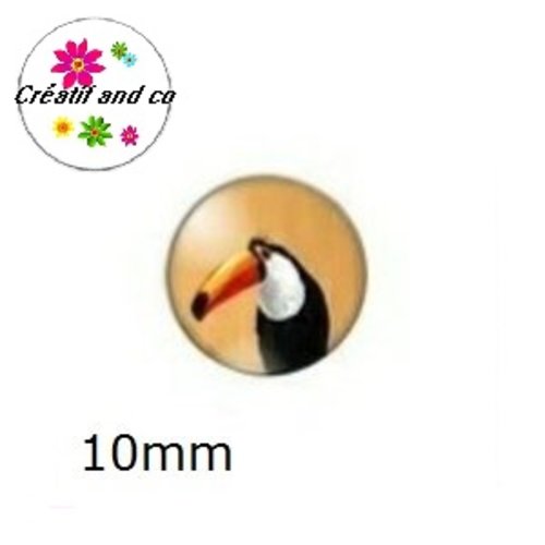 X2 cabochons toucan 10mm