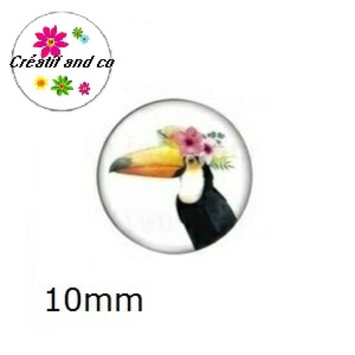 X2 cabochons toucan 10mm