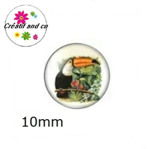 X2 cabochons toucan 10mm
