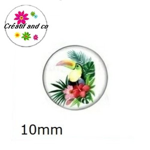 X2 cabochons toucan 10mm