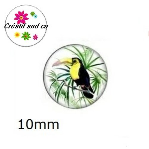 X2 cabochons toucan 10mm
