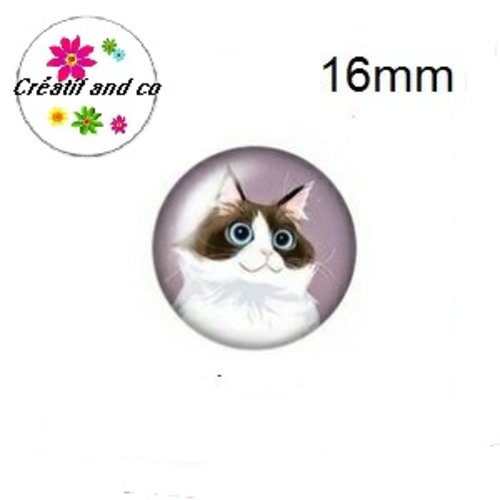 X2 cabochons chat 16mm