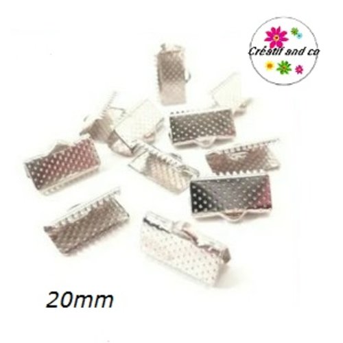 X10 griffes argentées 20mm