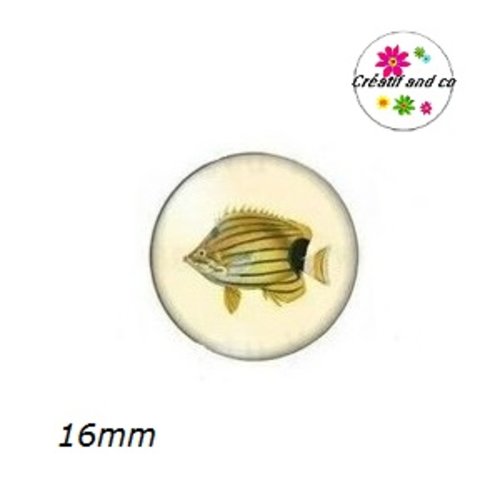 X2 cabochons poisson 16mm