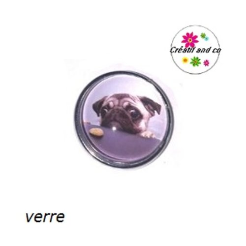 Bouton pression chien carlin
