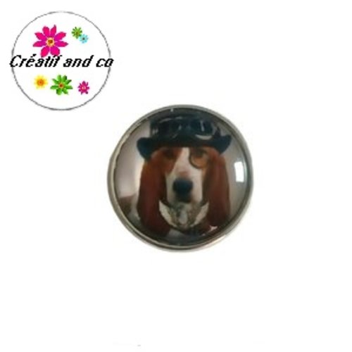 Bouton pression chien chapeauté
