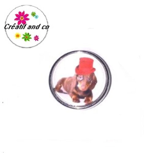 Bouton pression chien chapeauté