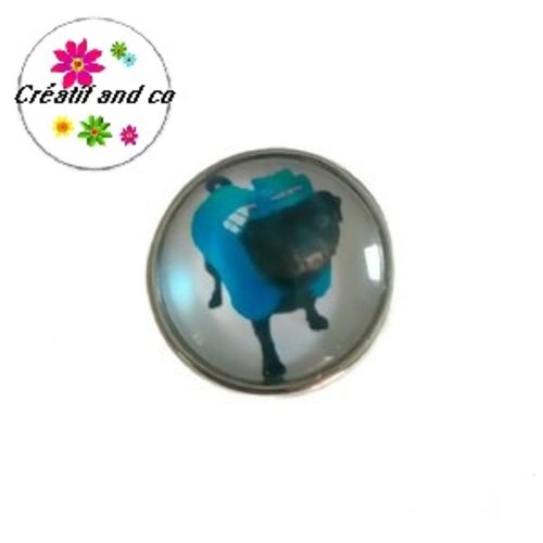 Bouton pression chien facteur