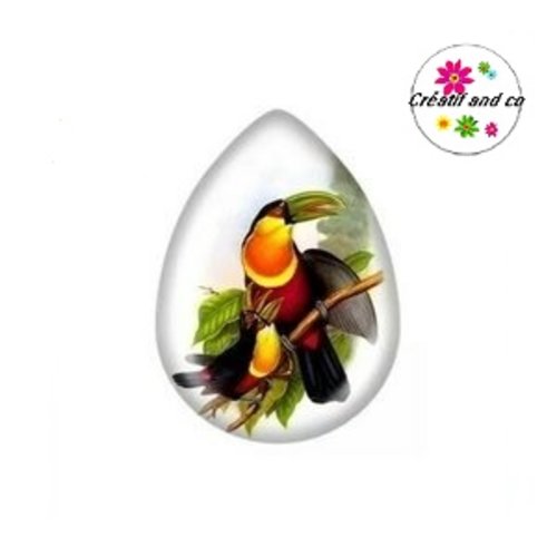 Cabochon goutte toucan 18x25mm