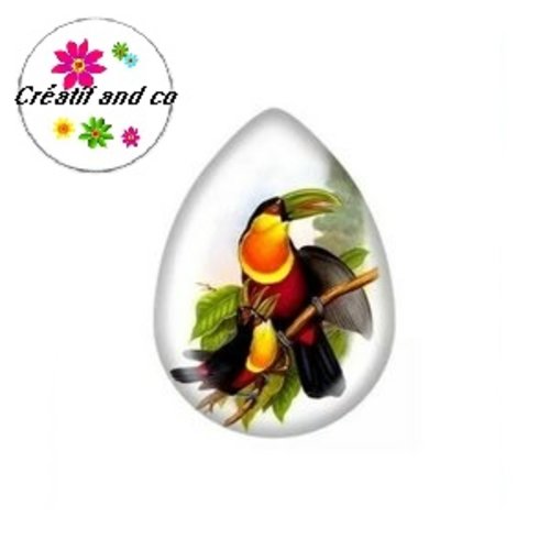 Cabochon goutte toucan 18x25mm
