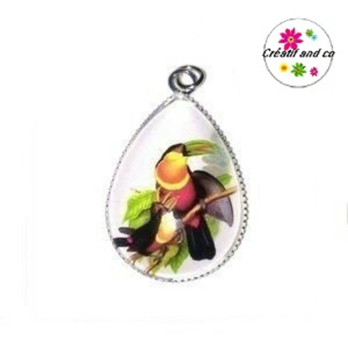 Pendentif cabochon goutte toucan