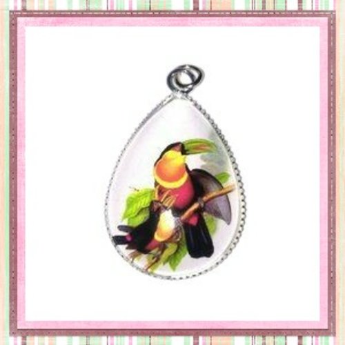 Pendentif et son cabochon goutte toucan 18x25mm