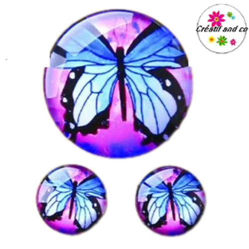 Lot cabochon papillon 25mm et 2 cabochons 12mm