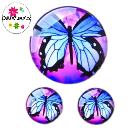 Lot cabochon papillon 25mm et 2 cabochons 12mm