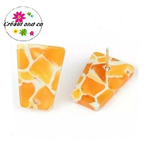 Clou oreille acrylique et tige argent 925