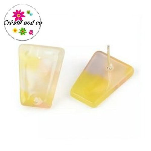 Clou oreille acrylique et tige argent 925