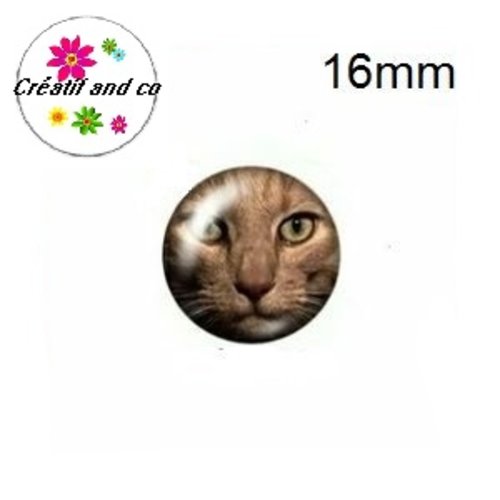 X2 cabochons chat 16mm