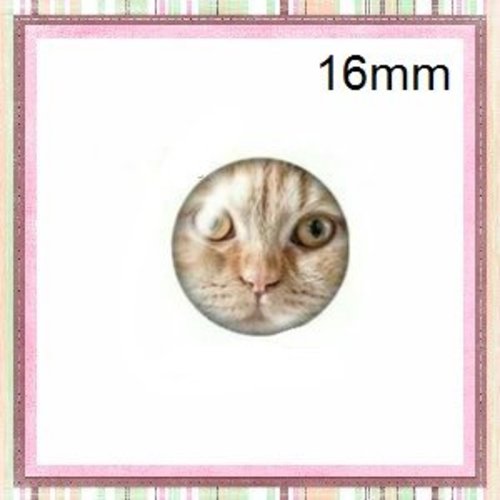 X2 cabochons chat verre 16mm