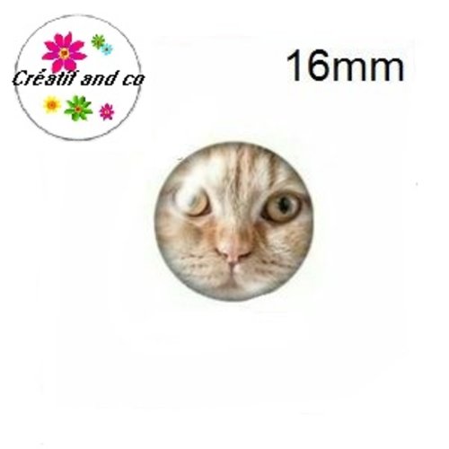 X2 cabochons chat 16mm