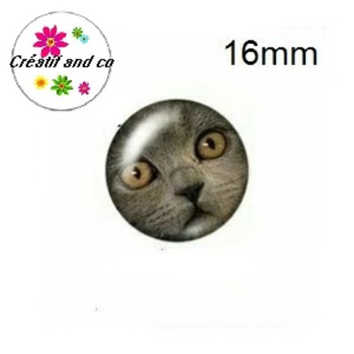 X2 cabochons chat 16mm