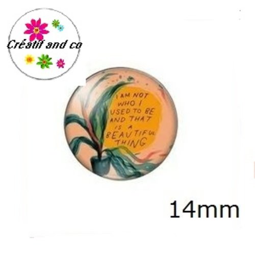 X2 cabochons 14mm