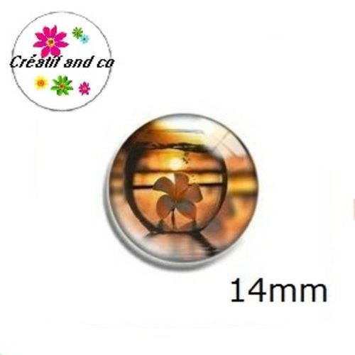 X2 cabochons 14mm
