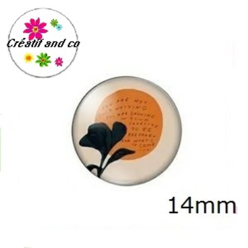 X2 cabochons à motif 14mm