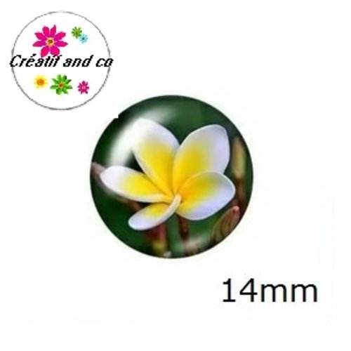 X2 cabochons fleuris 14mm
